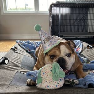 Meet your Posher, Dj jemini